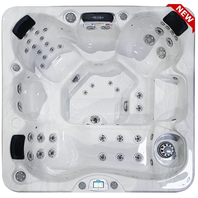 Avalon-X EC-849LX hot tubs for sale in Beaverton