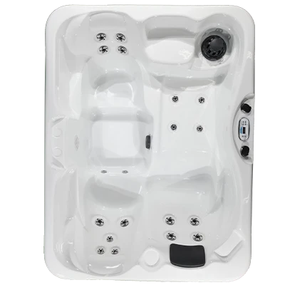 Kona PZ-519L hot tubs for sale in Beaverton